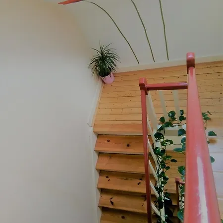 招待所 Kalimera 3*